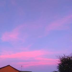 色玖玖综合视频在线播放
