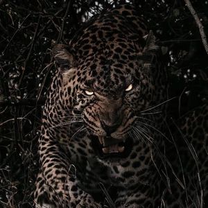 色玖玖综合视频在线播放
